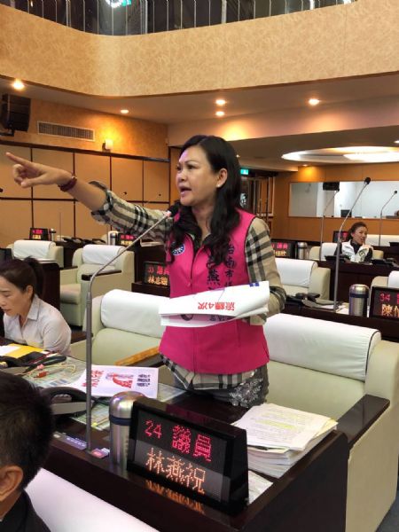 議員林燕祝-強降豪雨就淹水 居民向誰吐苦水 要求全市排水系統總體檢