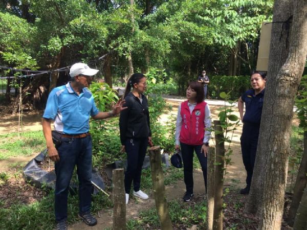 議員蔡筱薇-破壞樹林植栽衍生治安疑慮，要求警方嚴辦