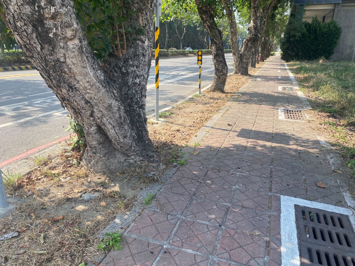 議員李啓維-健康路3段兩旁人行步道應整體改善