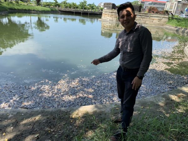 議員李啟維-安平小砲台又見魚屍
