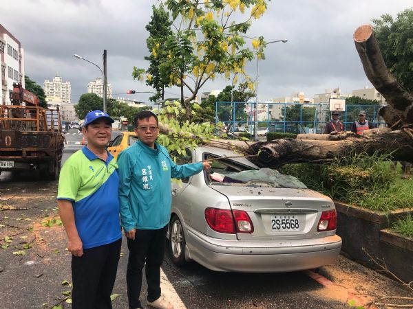 南華公園路樹倒塌壓毀民車