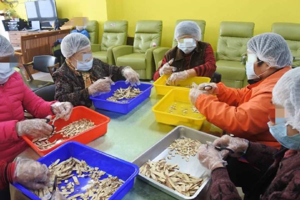 林燕祝促徹查日照中心