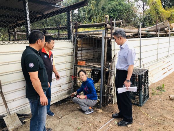 林美燕議員「漁光島流浪狗群體咬死家畜 居民遊客心驚驚！」記者會