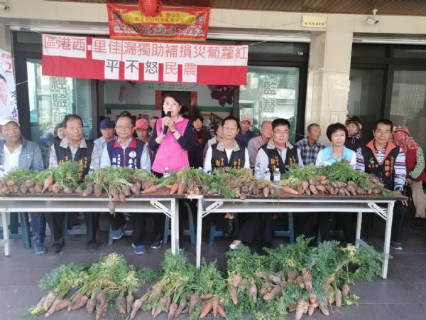 議員蔡秋蘭-抗議胡蘿蔔災損 市府補助大小眼